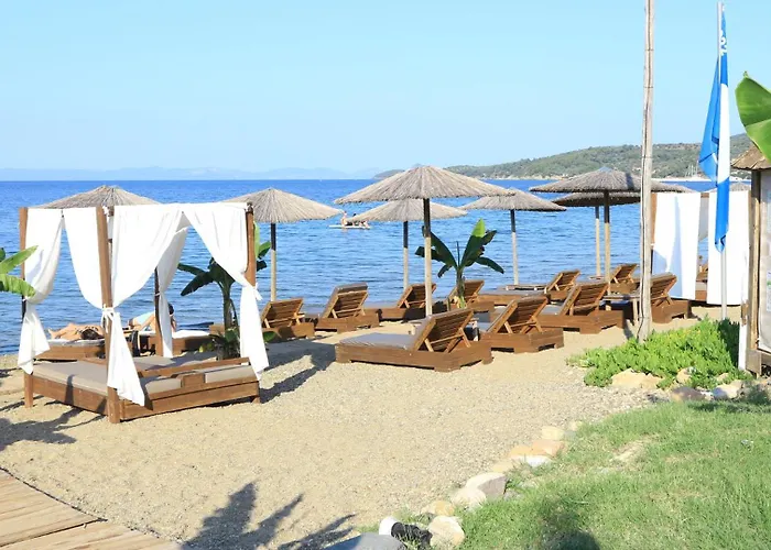 Toroneos Sea Side Paliouri